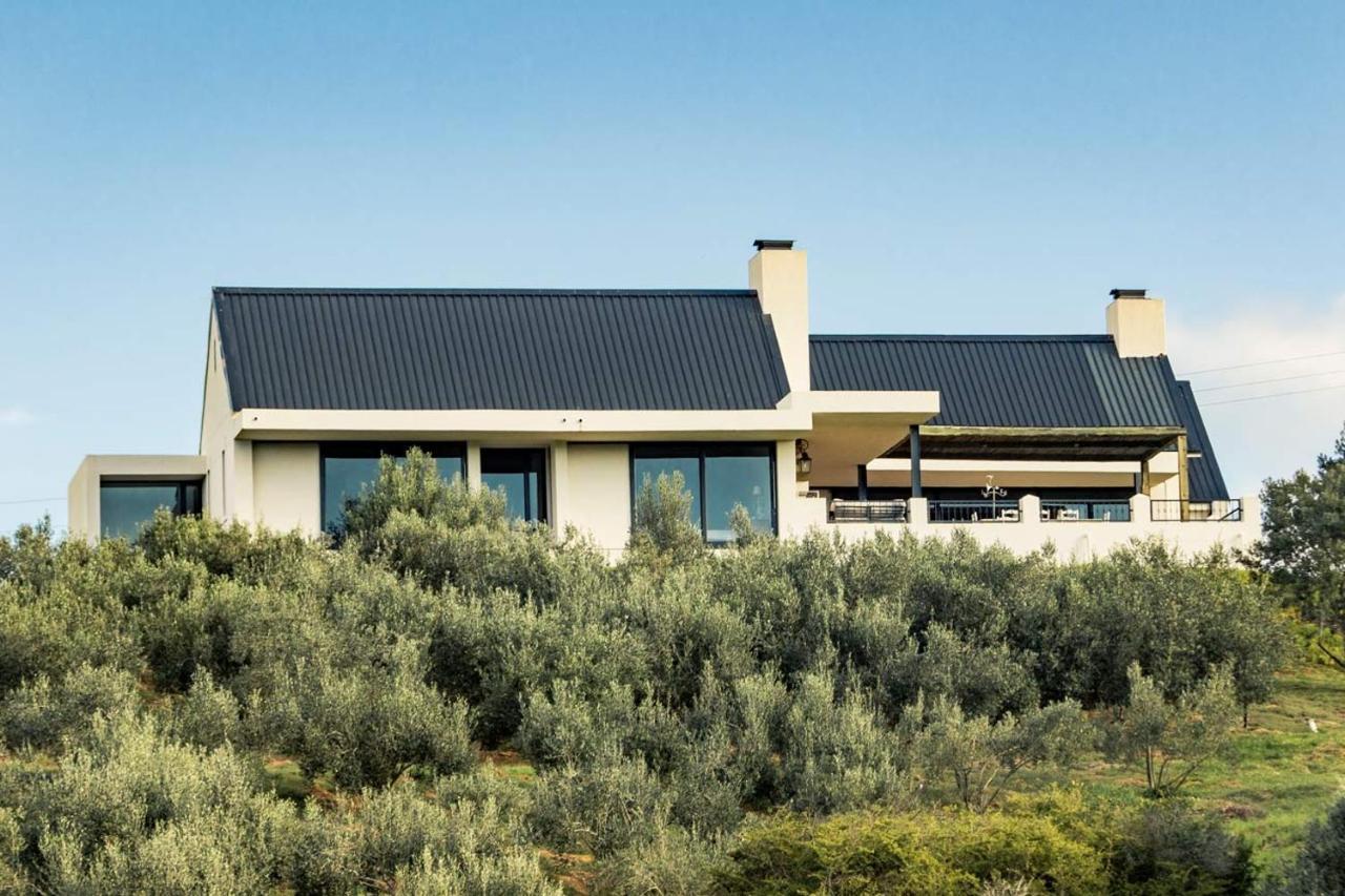 Вилла Oudewerfskloof Olive Farm Стилбай Экстерьер фото